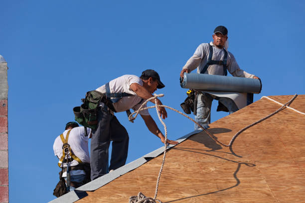 Best Roof Restoration Services  in Montrose, PA
